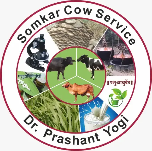 Dairy Farming And Gaushala Management In English