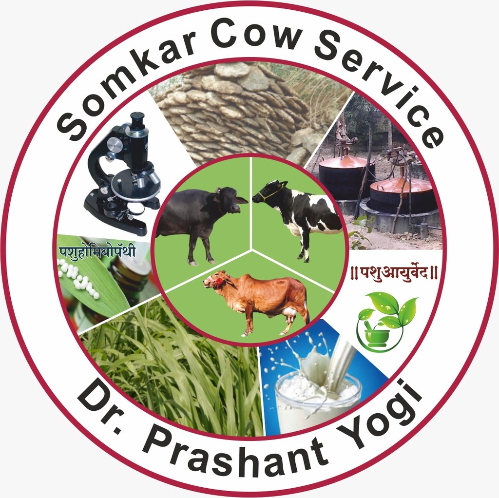 dfgm marathi 