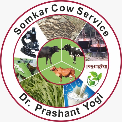 dfgm marathi 